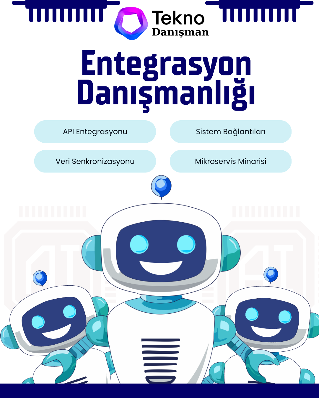 Entegrasyon danışmanlığı hizmet kapsamı